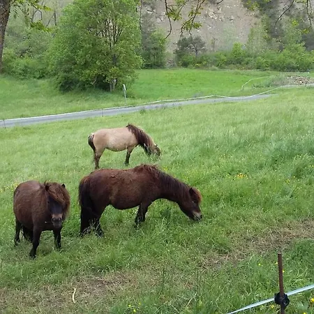Les Lavandes Montjay (Hautes-Alpes)